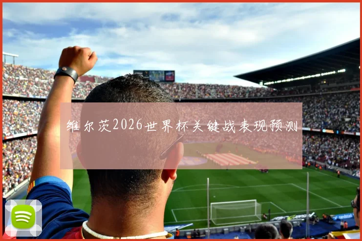 维尔茨2026世界杯关键战表现预测