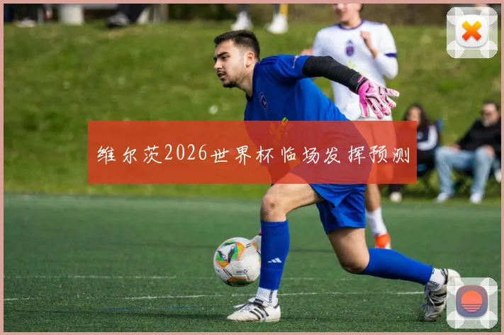 维尔茨2026世界杯临场发挥预测