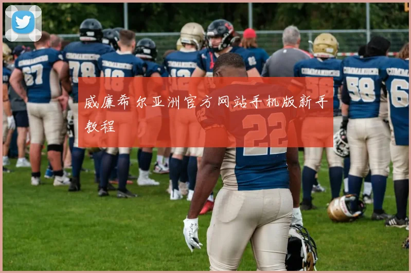 威廉希尔亚洲官方网站手机版新手教程